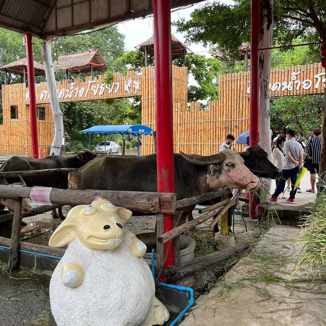 ตลาดน้ำอโยธยา