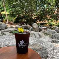 “The Tharntong Green Coffee” 
