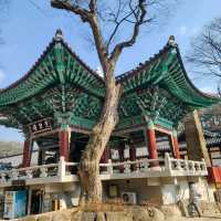 피크닉을 즐기기에 좋은 공주 절 여행 마곡사