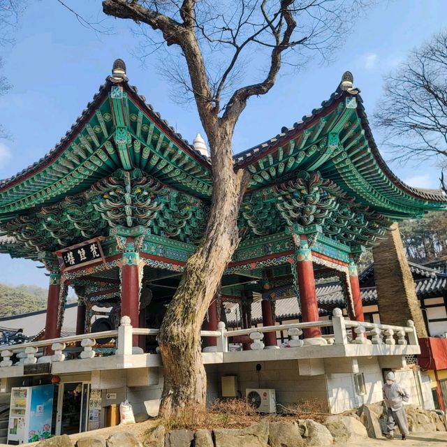 피크닉을 즐기기에 좋은 공주 절 여행 마곡사