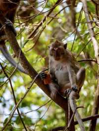 Pai Plong Beach: A Secluded Paradise in Krabi