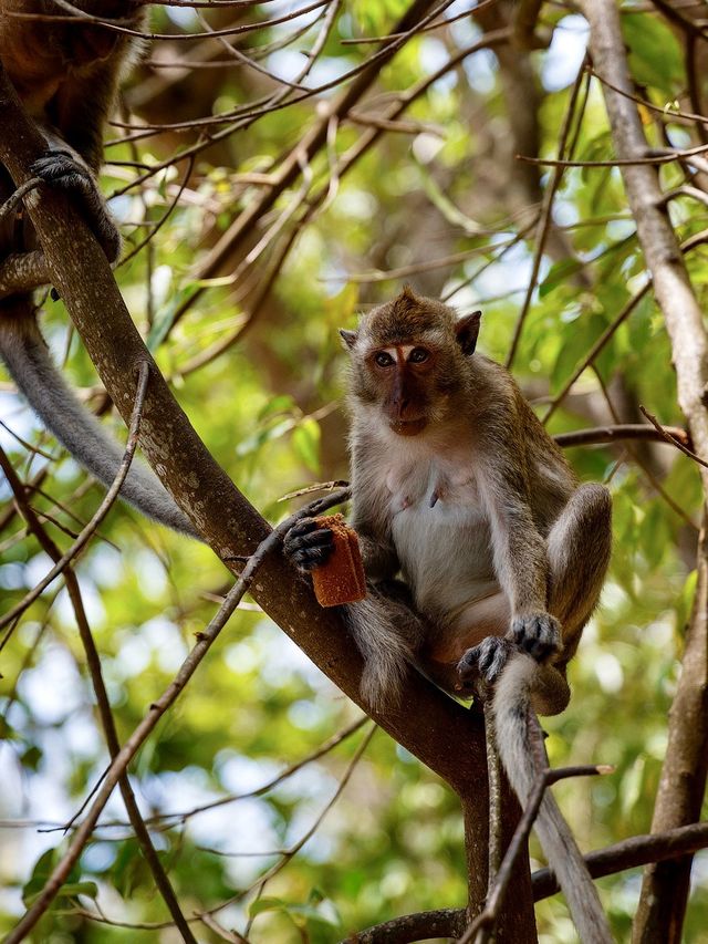 Pai Plong Beach: A Secluded Paradise in Krabi