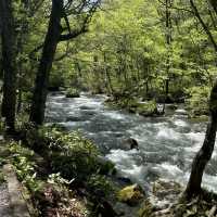 日本青森必到景點：奧入瀨溪流，一洗塵俗的地方