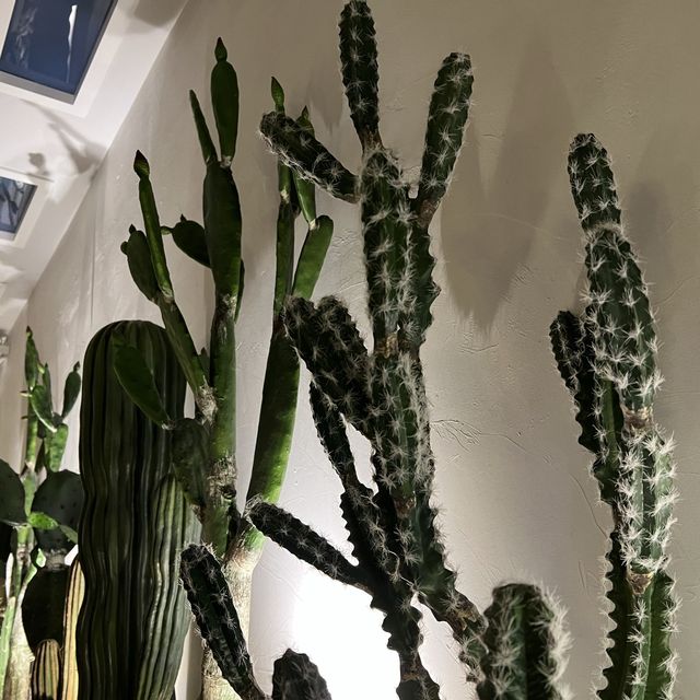🌺度假風情fusion新派泰菜🌿🌿🌿