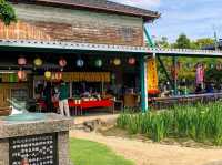 เทศกาลดอกไอริส "ฮานะ-โชบุ" 🪻