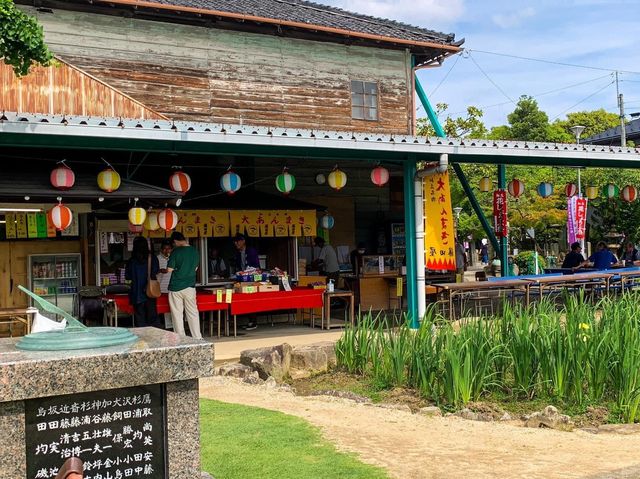 เทศกาลดอกไอริส "ฮานะ-โชบุ" 🪻