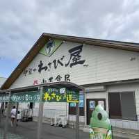 【静岡】伊豆わさびミュージアムとわさびグルメ