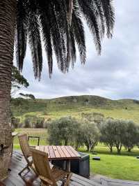 Stunning vineyard in Waiheke Island 