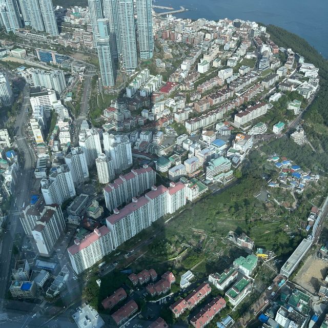 【  韓国 / 釜山 】地上100階の展望台で空中散歩🐾