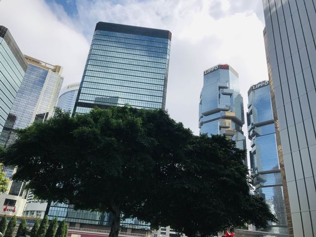 Hong-Kong the most beautiful city for me 😍
