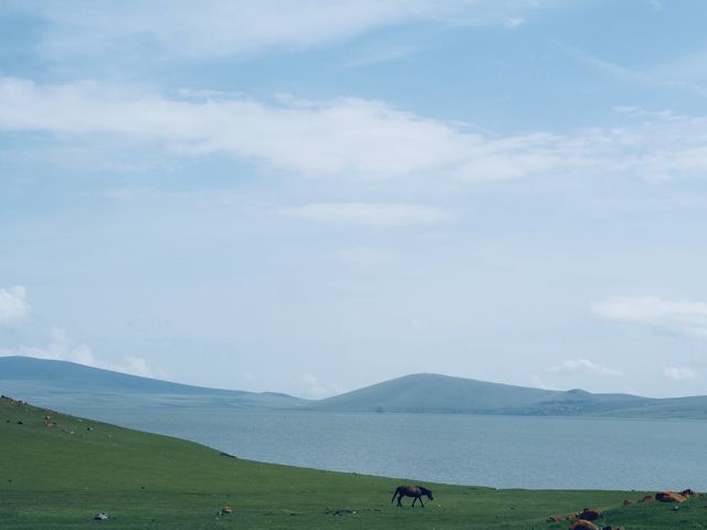 Go Wild on off road trip to Lake Paravani