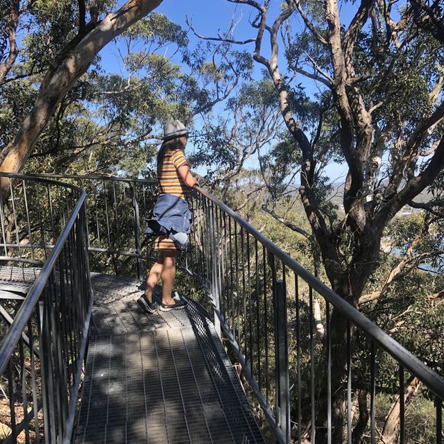 Awesome views at Tomaree Head Summit Walk