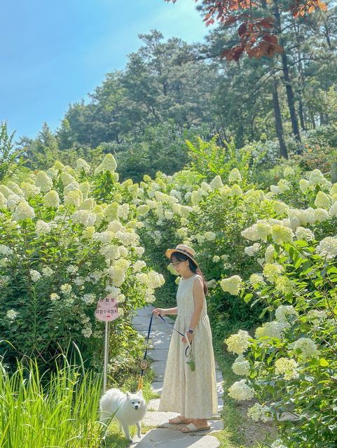 여기가 바로 유럽수국 맛집이였네🍃💚
