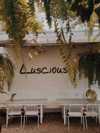 Luscious Garden Cafes • คาเฟ่มู้ดเขียวๆ 🪴⛲️🌿🩵