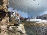 【桃園】- Xpark By CoStudio