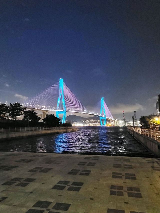 청학수변공원에서 부산항대교 야경즐기기✨️