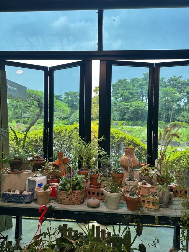 파주 가볼만한 곳, 벽초지수목원🌿💚