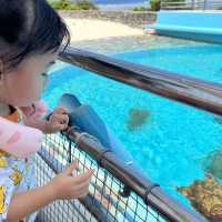 美麗海水族館～真的很美麗