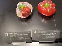 【韓国】オブジェのような芸術的なケーキがあるカフェ