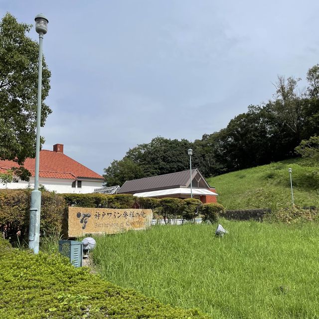【兵庫県】ワイン好きなら一度は行きたい神戸ワイナリー