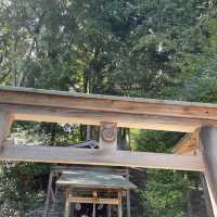 【京都府】日本でここだけ！髪を護る御髪神社へ