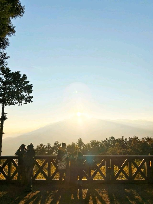 Alishan's Sunrise: Where Nature Paints Magic