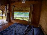 ไร่ภูผาหมวก.. เชียงดาว จ.เชียงใหม่