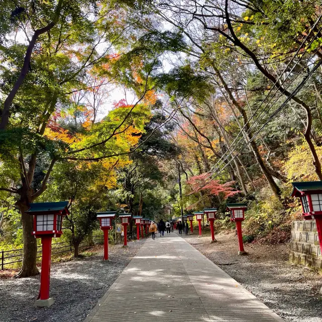 Autumn in Mt. takao