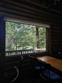 피톤치드 가득한 포천 국립수목원🌳