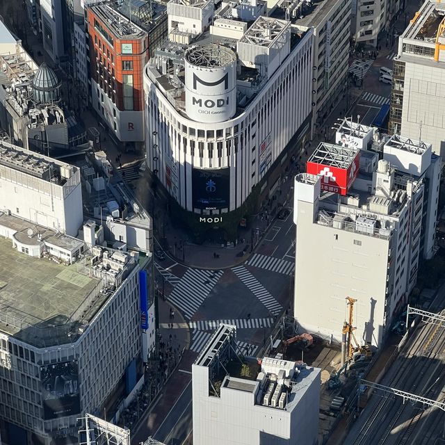 東京新舊地標🇯🇵