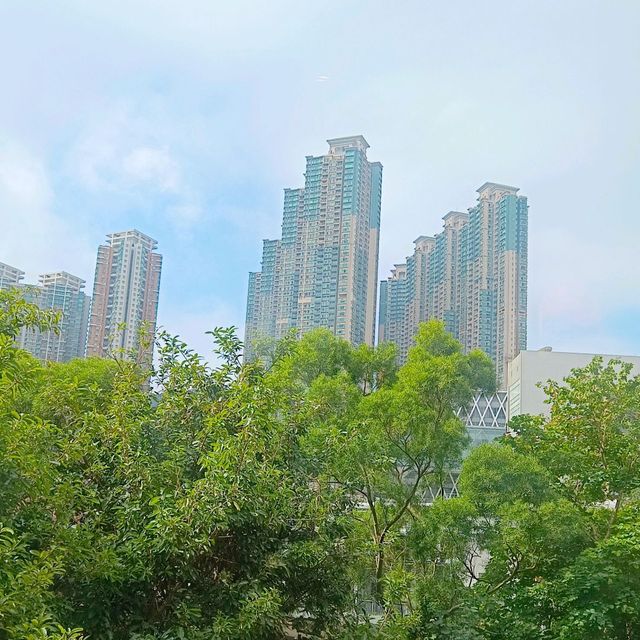 在森林中 , 元氣滿滿的吃火鍋！招牌海底撈！