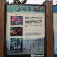 大雪山國家森林遊樂區的美好享受