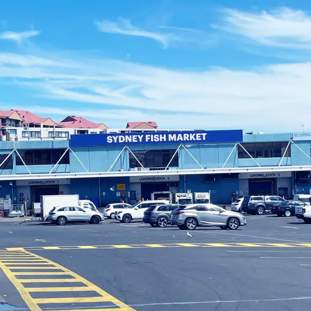 A day in Fish Market Sydney for fresh seafood