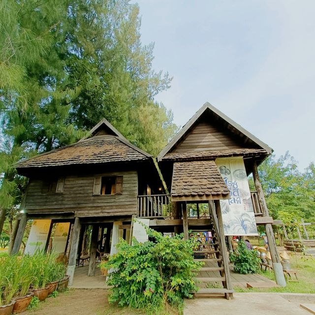 ชมทุ่งดอกไม้ที่จิมทอมป์ 