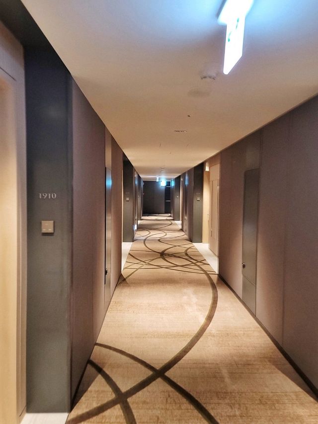 세종시 도심 시티뷰 야경이 멋있었던 충남호텔🏨