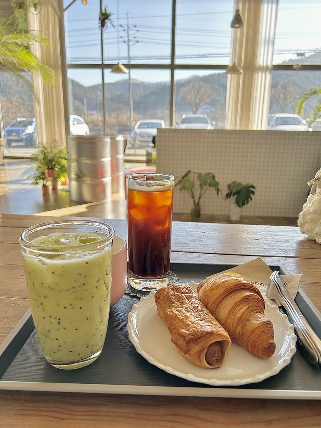 가평 식물이 함께 있는 감성카페☕️🌿