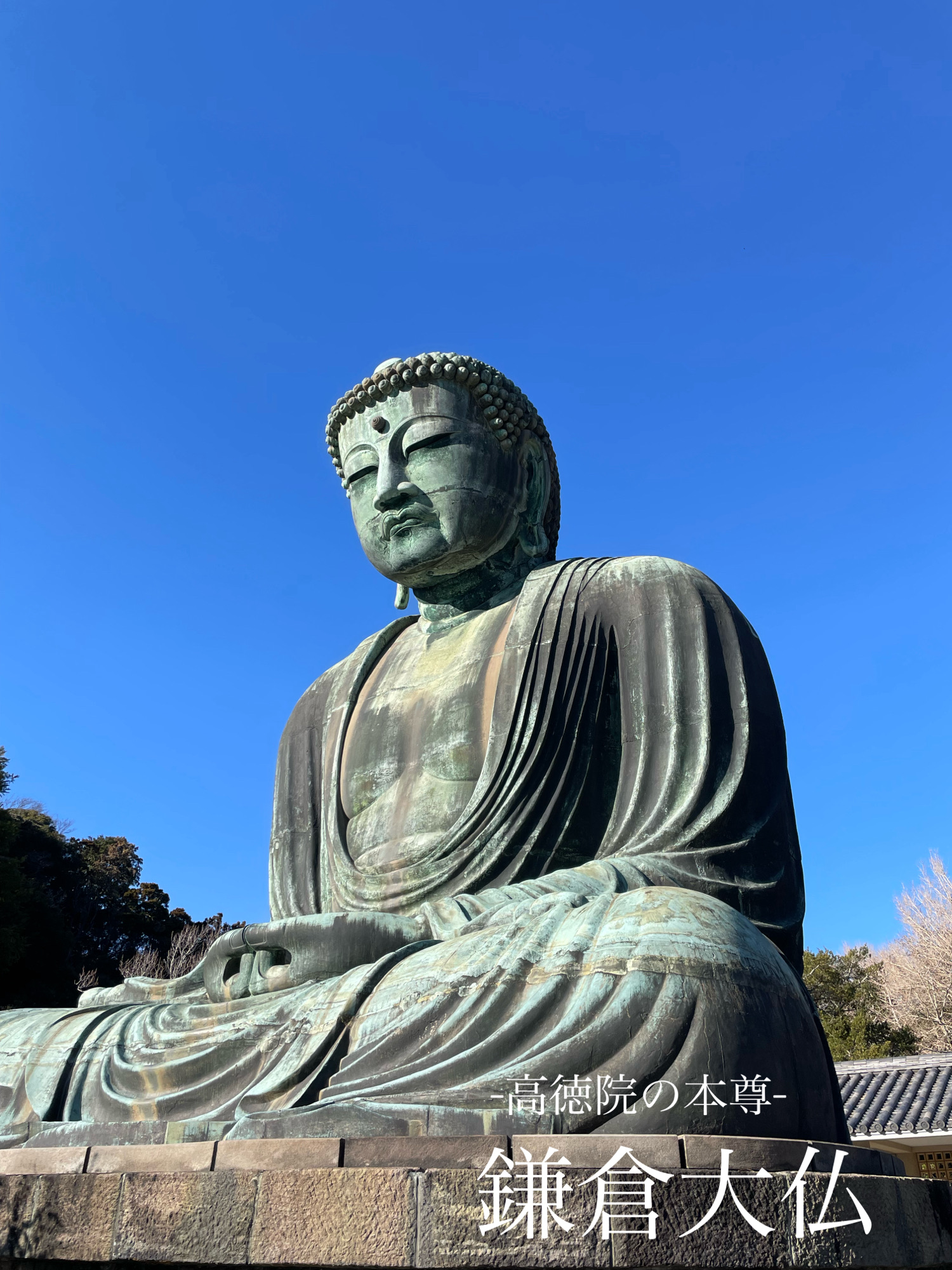 神奈川県】鎌倉観光で外せない「高徳院・鎌倉大仏」 | Trip.com 鎌倉 神奈川県】鎌倉観光で外せない「高徳院・鎌倉大仏」 | Trip.com 鎌倉