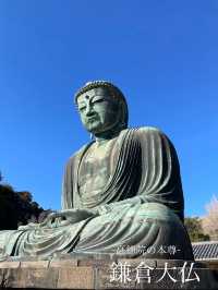【神奈川県】鎌倉観光で外せない「高徳院・鎌倉大仏」