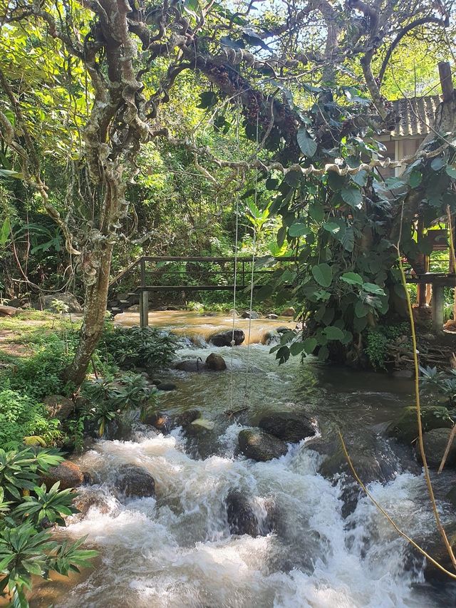 📍บ้านธารกล่อม The River Whisper