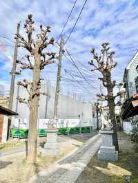 【東京都/鐡砲稲荷神社】新宿の住宅街に佇む稲荷神社