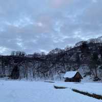 Shirakawago under the snow