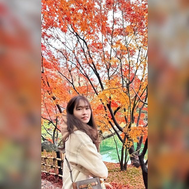 栗林公園🍁十二月賞楓❤️一步一景