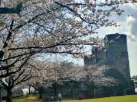 Negishi Forest Park