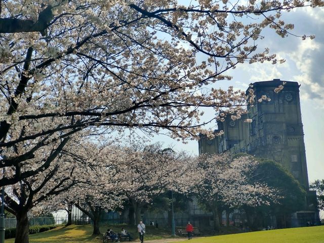 Negishi Forest Park