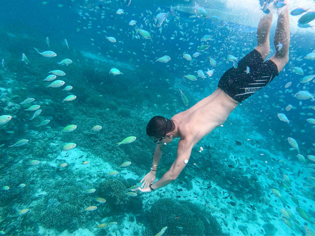 Snorkeling Paradise: Panglao, Bohol