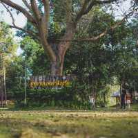 อุทยานแห่งชาติภูเวียง
