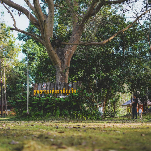 อุทยานแห่งชาติภูเวียง