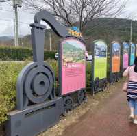 釜山景點-洛東江鐵道自行車