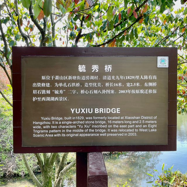 Blossoms' Passage: Yuxiu's Serenity
