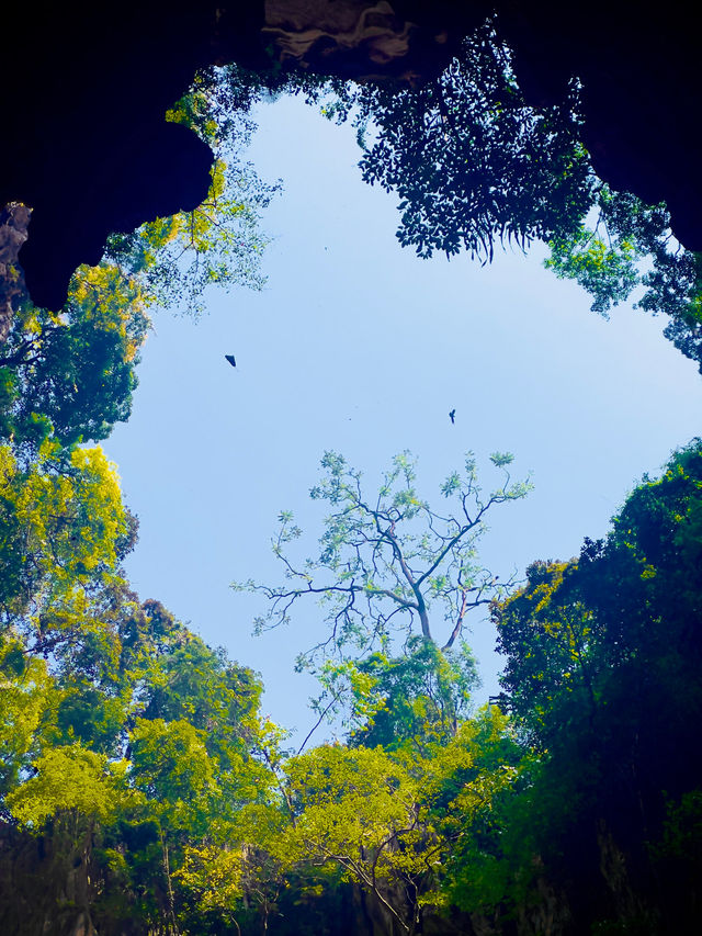 The Beautiful Batu Caves ✨